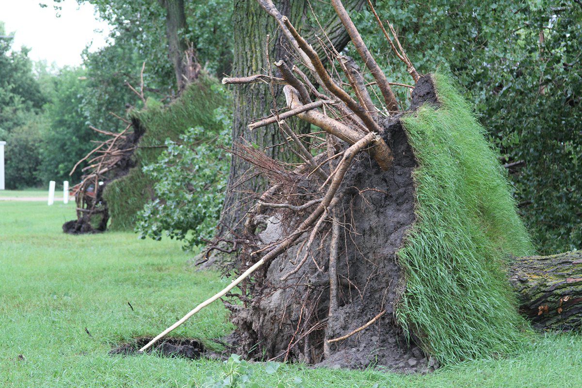 Stuhr Museum Damage